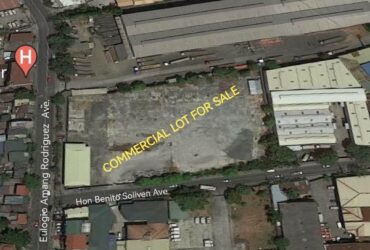 2848 sqm Pasig City Commercial Lot For Sale Near Eastwood City and Bridgetowne
