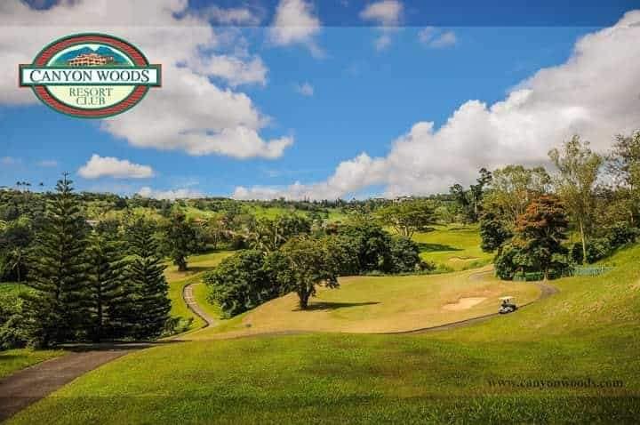 Lot for sale in CANYOON WOODS Tagaytay
